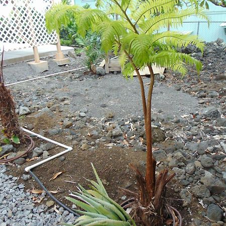 Ohana Hale Kailua-Kona Buitenkant foto