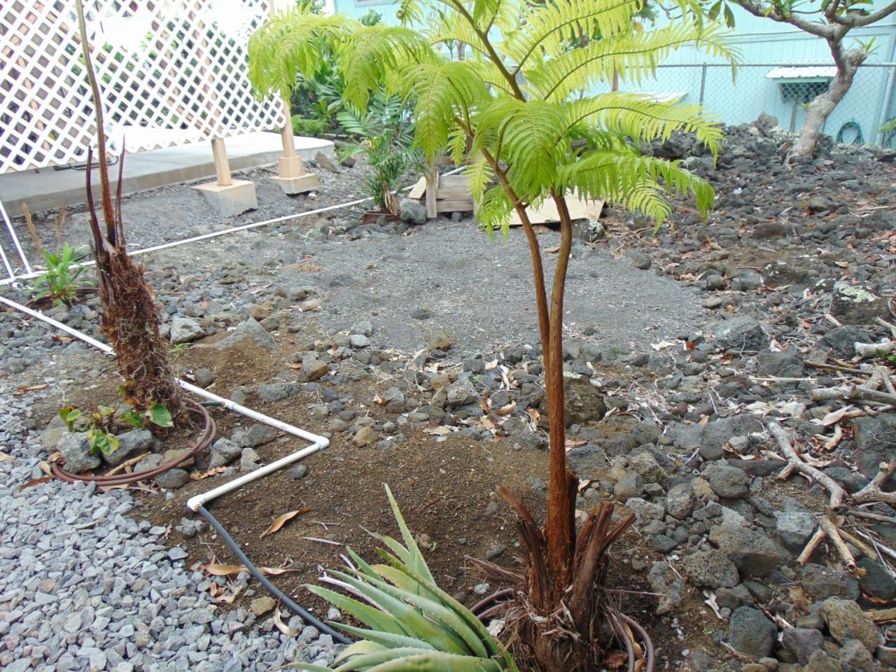 Ohana Hale Kailua-Kona Buitenkant foto